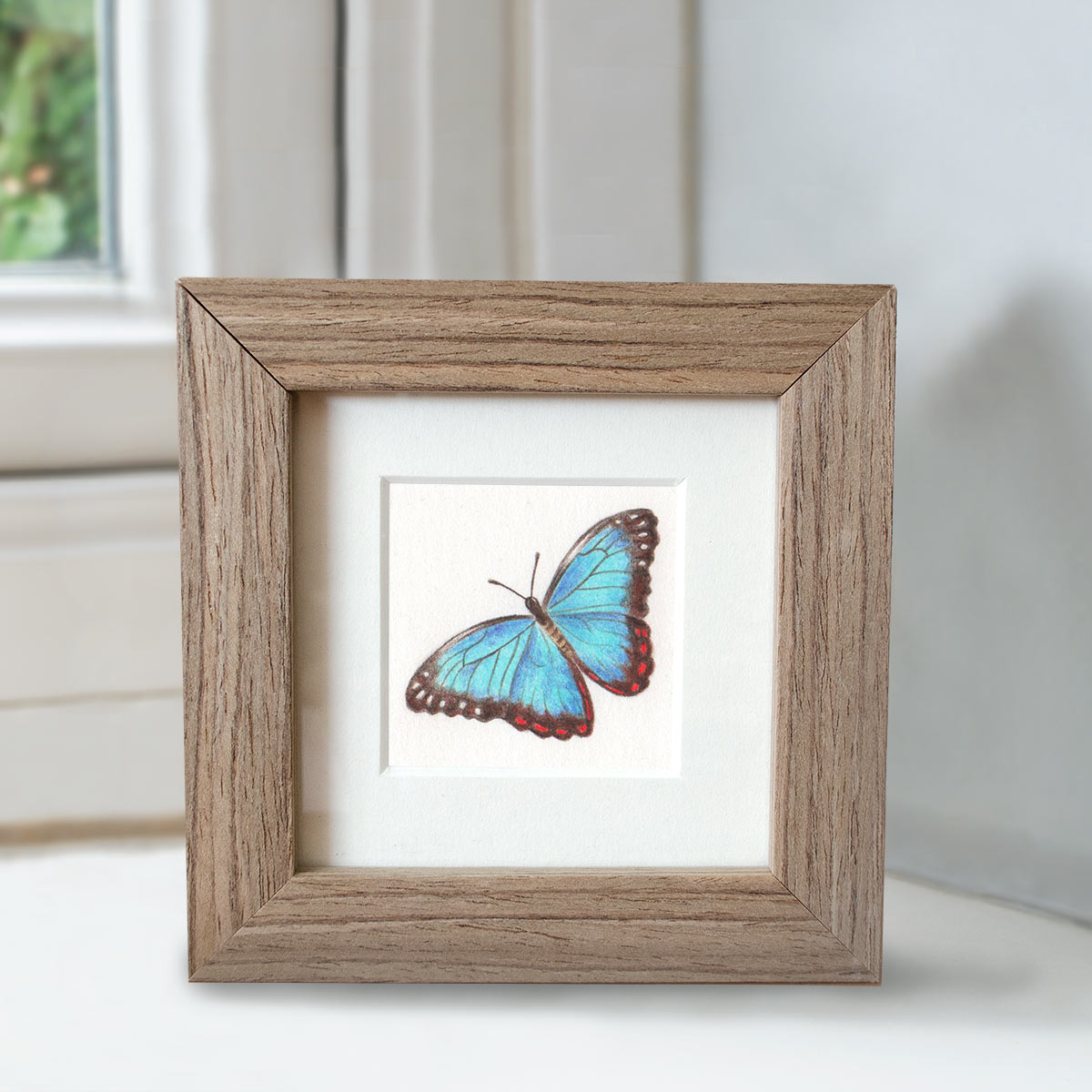 Common Morpho - Preview image  British Wildlife Art