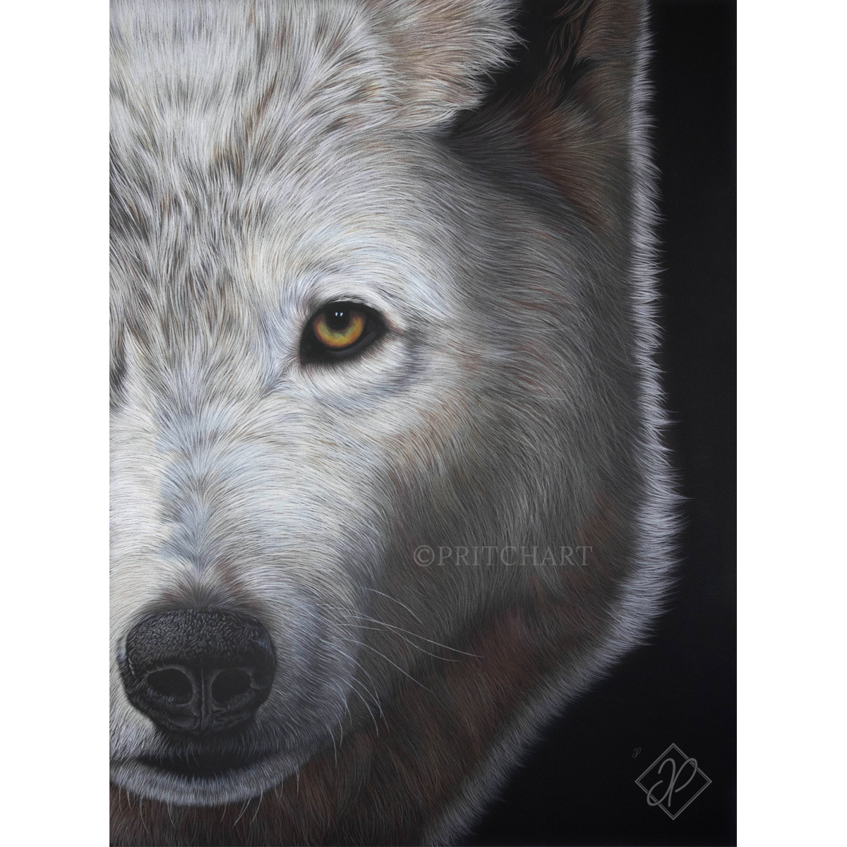 Phantom - Preview image  British Wildlife Art