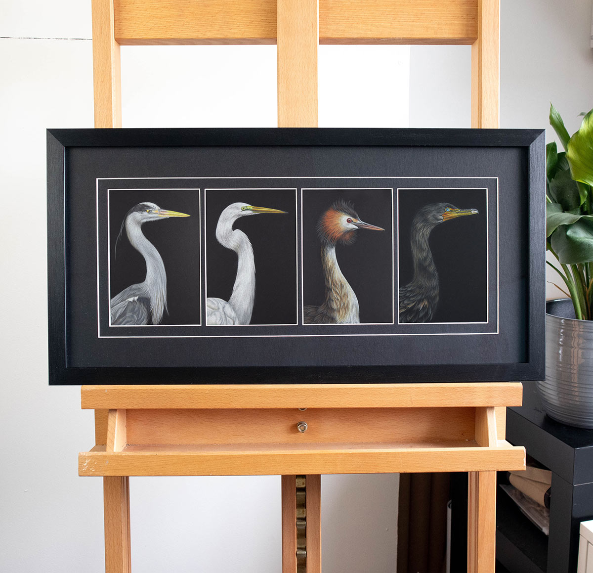 Wetland Wonders - Preview image  British Wildlife Art