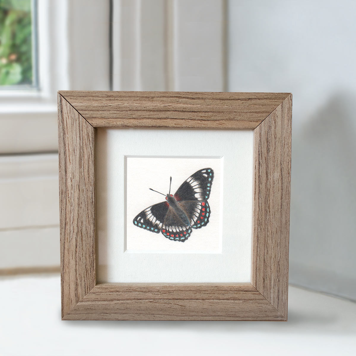 White Admiral - Preview image  British Wildlife Art